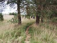 IMG_20250710_124726337