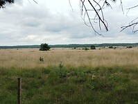 IMG_20250710_124717585