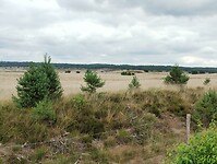 IMG_20250710_124019282