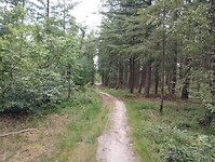 IMG_20250710_120627333