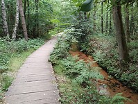 IMG_20250711_145355959