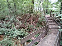IMG_20250711_145248750