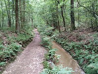 IMG_20250711_145112980