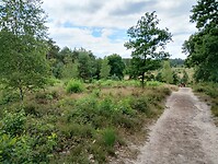 IMG_20250711_140926536_HDR