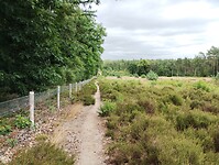 IMG_20250711_140552421