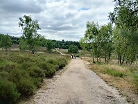 IMG_20250711_135708323_HDR