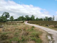 IMG_20250711_135542601