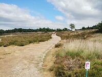IMG_20250711_135339404