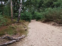 IMG_20250711_133543469