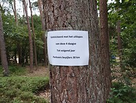 IMG_20250711_115238522