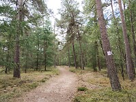 IMG_20250711_114842202