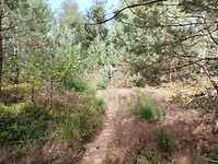 IMG_20250711_110602615