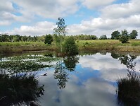 IMG_20250711_105238453