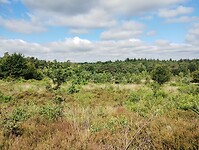 IMG_20250711_104351586