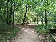 IMG_20250712_125941116