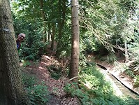 IMG_20250712_123739313