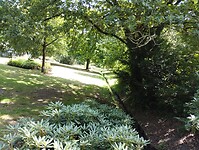 IMG_20250712_123131122