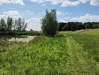IMG_20250717_151606637