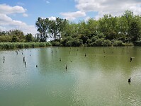 IMG_20250717_132818139