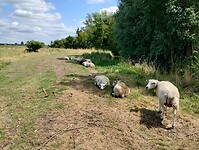 IMG_20250717_131946152_HDR