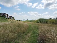 IMG_20250717_110531436