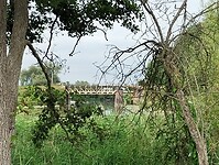 IMG_20250718_151604355