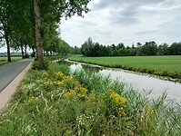 IMG_20250718_142653816_HDR