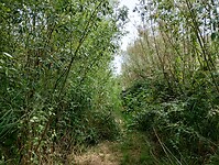 IMG_20250718_132044442_HDR