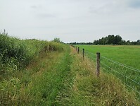 IMG_20250718_124952917