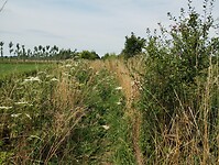 IMG_20250718_123510688