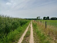 IMG_20250718_121058772_HDR