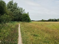 IMG_20250718_104644652
