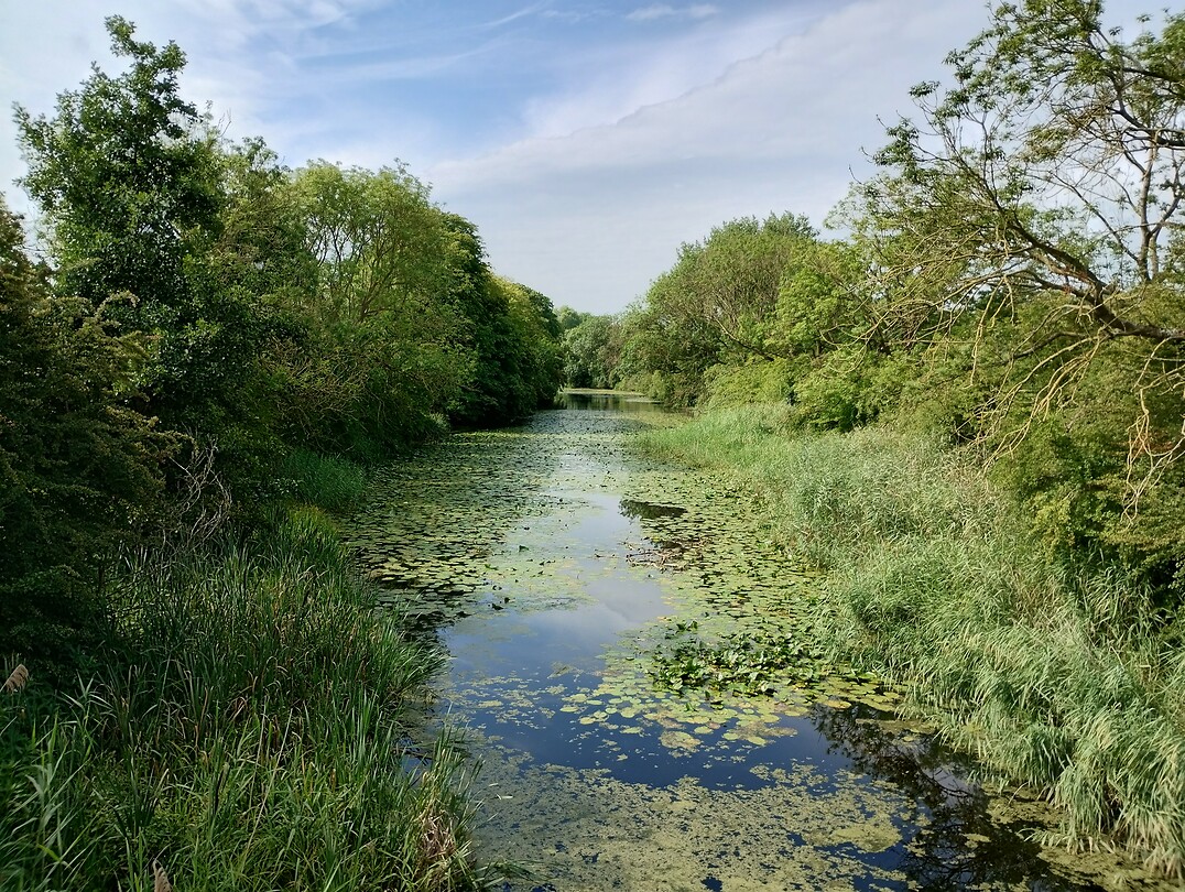 IMG_20250718_104247036_HDR