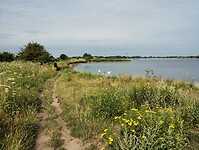 IMG_20250718_100847890