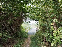 IMG_20250719_133452571_HDR