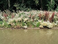 IMG_20250719_133359082