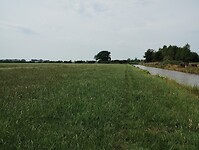 IMG_20250719_133202860