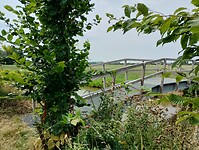 IMG_20250719_132937060_HDR