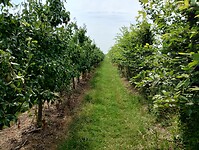 IMG_20250719_132858124_HDR