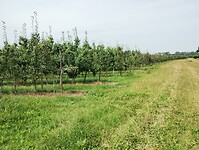 IMG_20250719_132301762