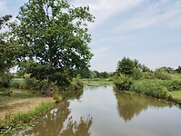 IMG_20250719_130045760