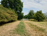 IMG_20250719_125959414_HDR
