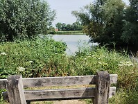 IMG_20250719_123717142