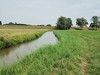 IMG_20250719_120205285
