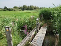 IMG_20250719_120114264