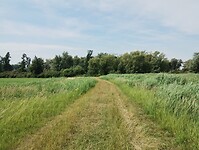 IMG_20250719_115940856