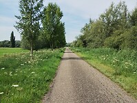 IMG_20250719_115420061
