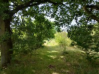 IMG_20250719_113442422_HDR