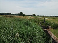 IMG_20250719_111227329