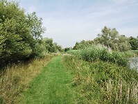 IMG_20250719_110307019